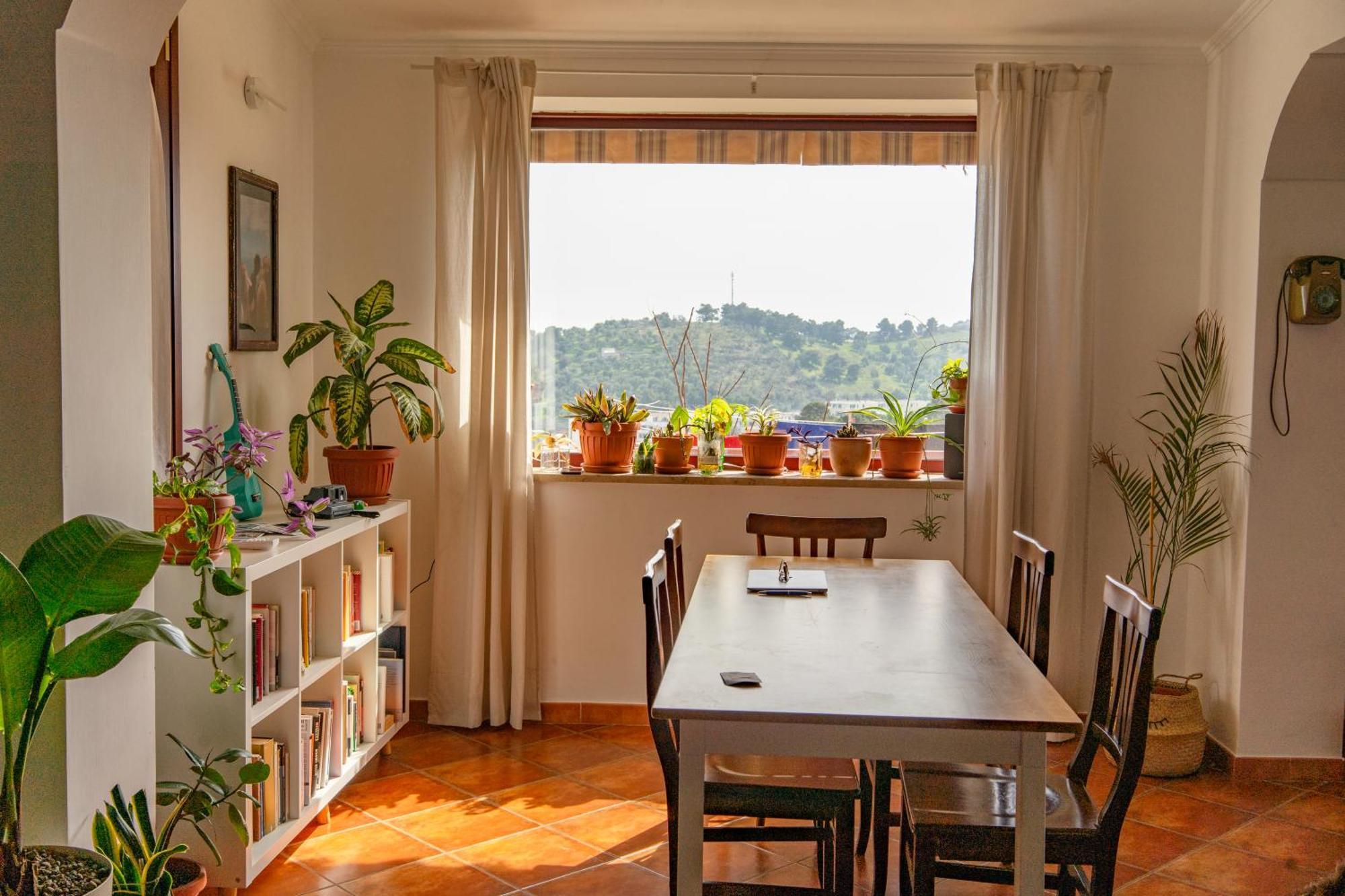 Coliving Together Gargano Vieste Zewnętrze zdjęcie