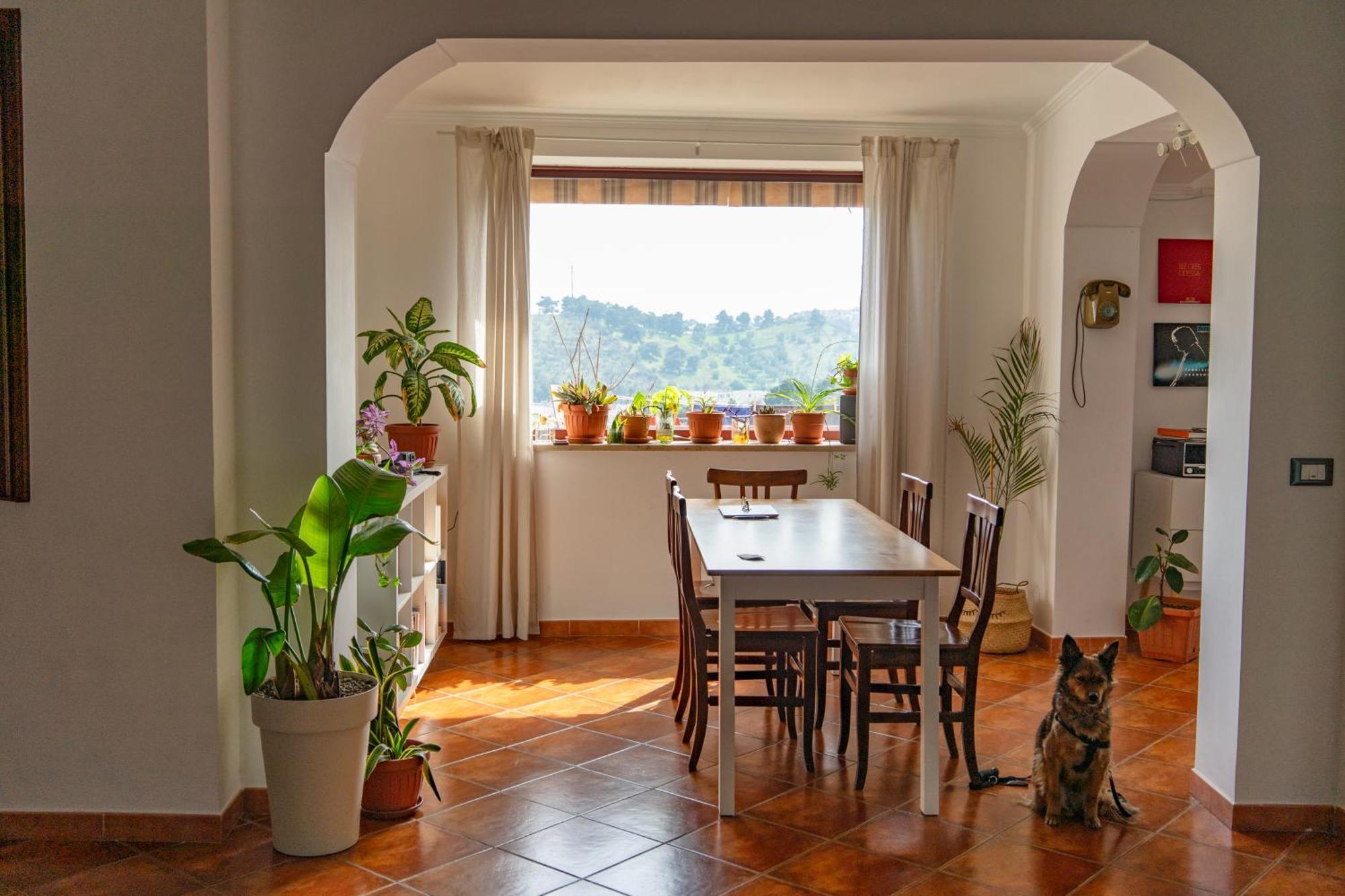Coliving Together Gargano Vieste Zewnętrze zdjęcie